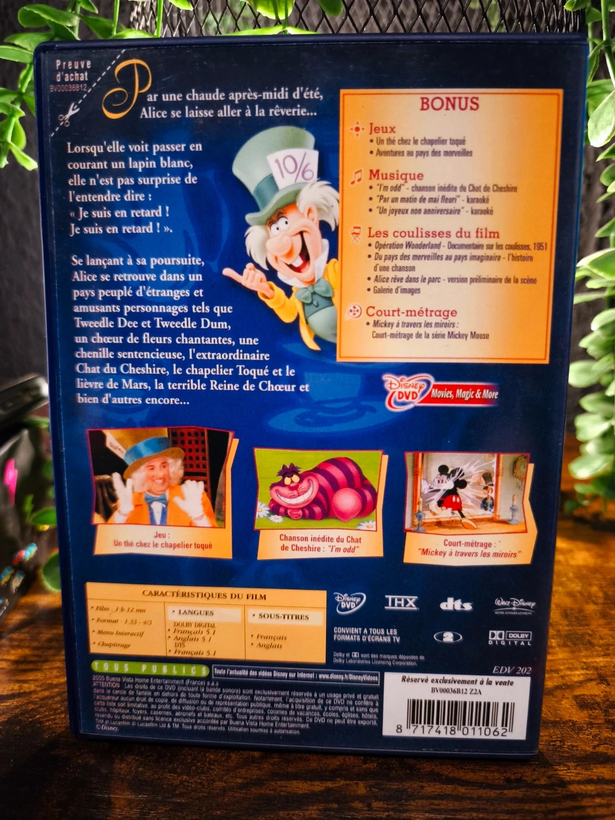 Alice in Wonderland – photo 2